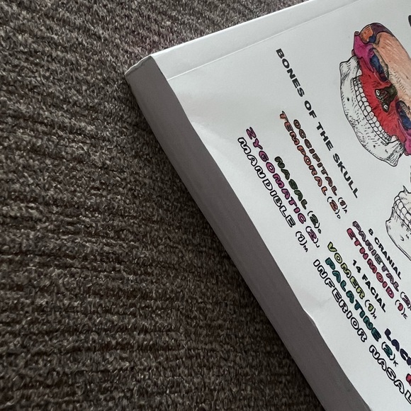 Anatomy Color Book - detailed! by Wynn Capit - Picture 4 of 4